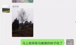 邓为最新爆料视频在线观看